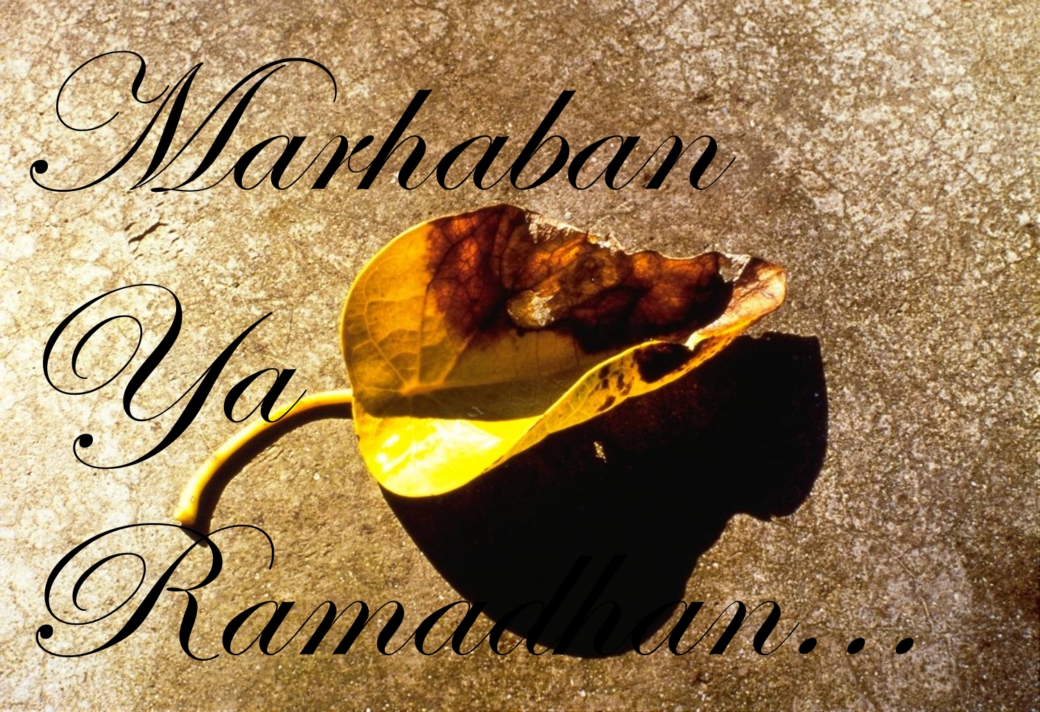 Kata Kata Mutiara Ramadhan