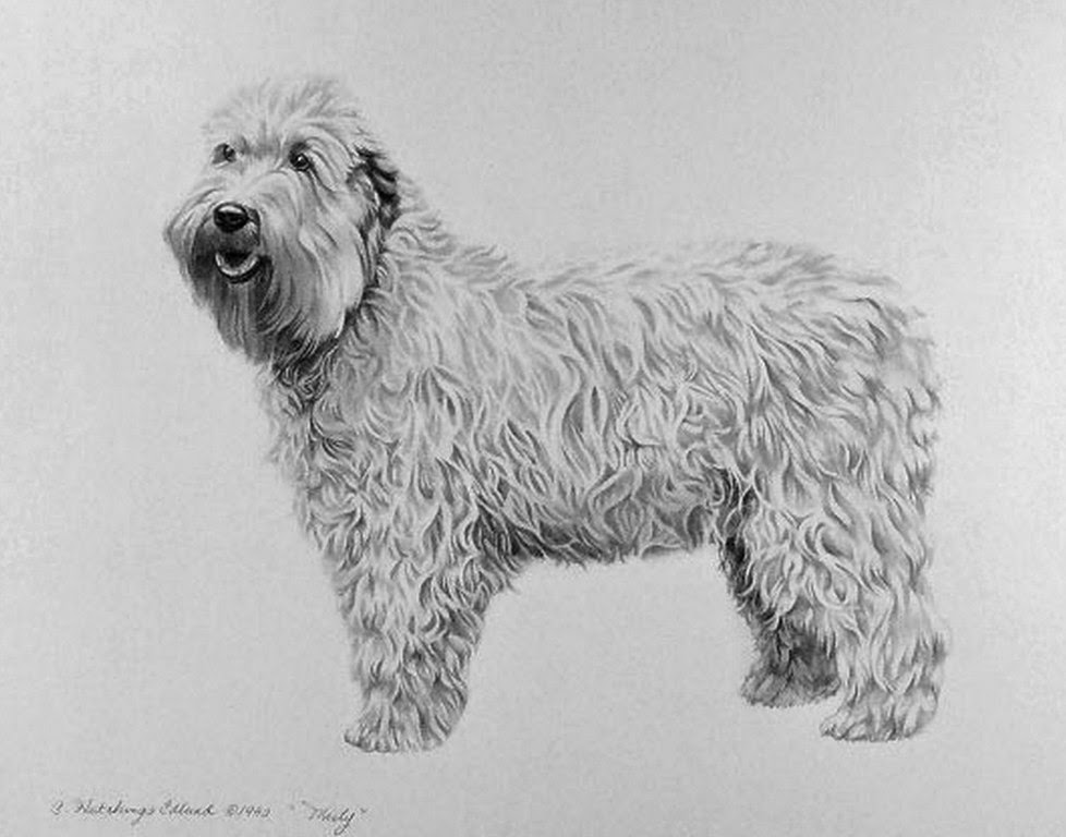 44 Lapiz Dibujos De Perros Most Popular Lena