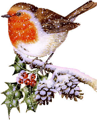 Znalezione obrazy dla zapytania ptaki zimą - gify