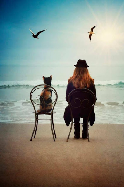 Τι είδα στην παραλία