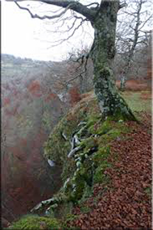 Otoño en los montes de Iturrieta