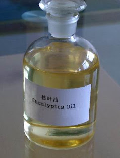 Amazing Eucalyptus Oil!