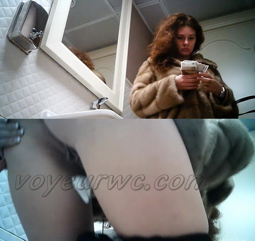 WC 2229-2233 (Hidden Camera in Female Restaurant Toilet)