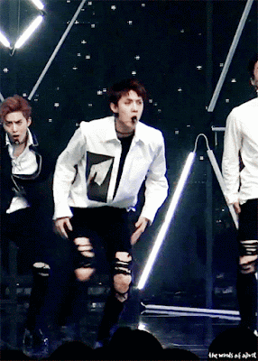 image%2B%252817%2529.gif