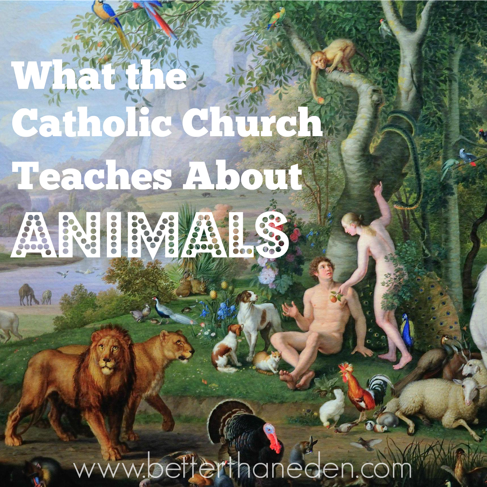 What Catholics Believe About Animals - Mary Haseltine