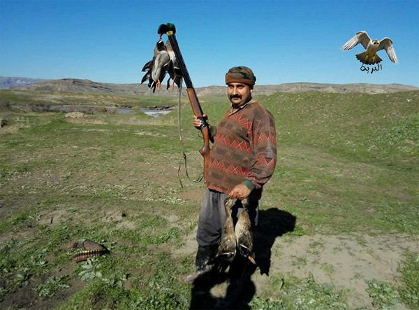 صور لصيد البط الصياد Rawchi من كوردستان العراق خلال موسم هجرة الطيور 