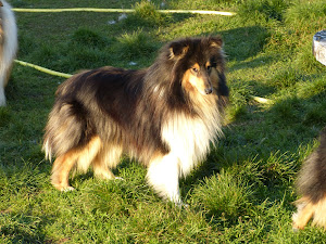 DO RIPAUMIA EIRA.Nací en 10/06/2010