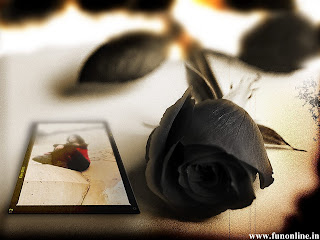 black rose wallpaper