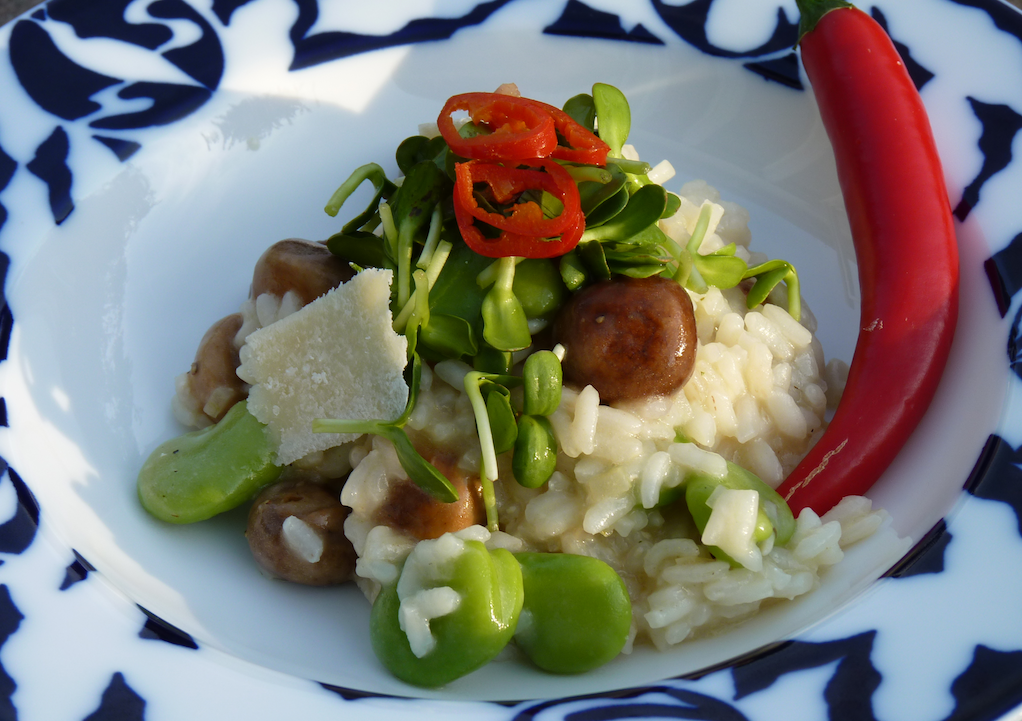 Christofers Kök Risotto med champinjoner, bondbönor och chili