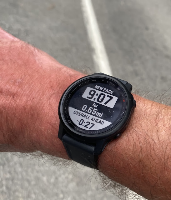 garmin forerunner 45 trail running