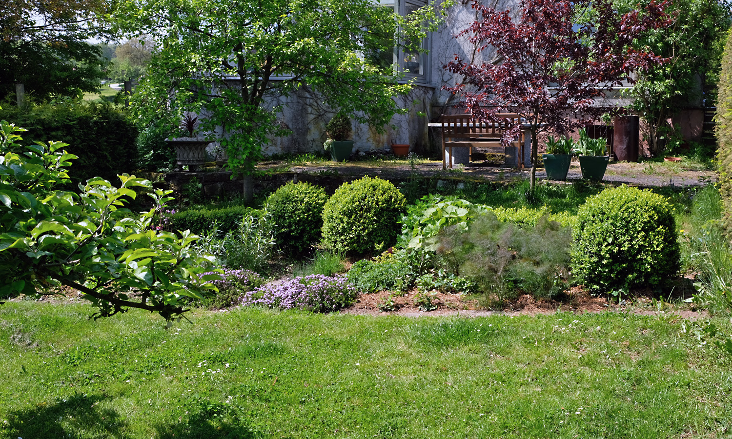 mein garten im mai purpurgarden