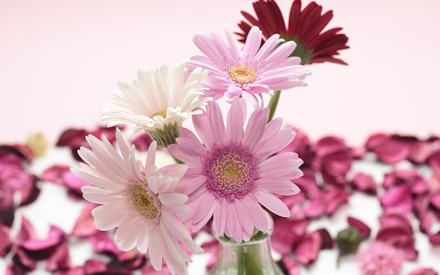 Foto met roze en witte bloemen in een vaas