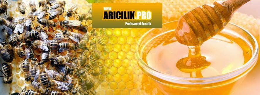 aricilik.pro