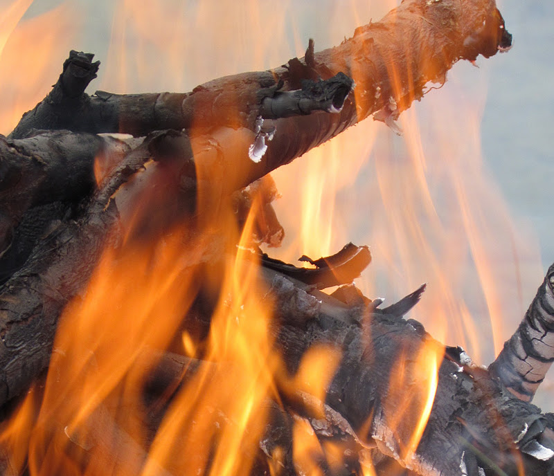 Lady Mondegreen's Secret Garden Fear of Fire