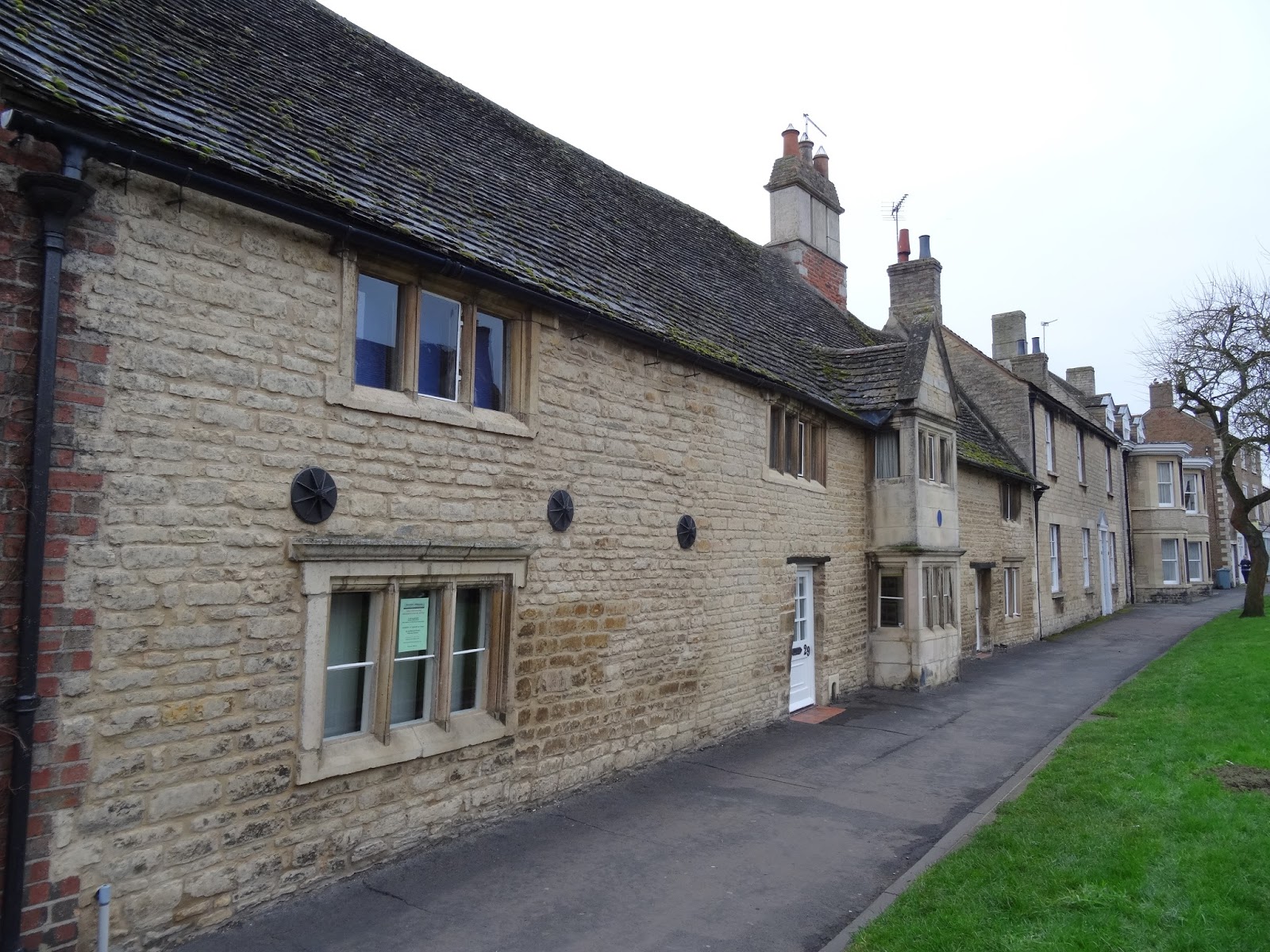 something of the chameleon Market Deeping