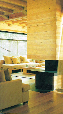 koradecora: Chimeneas forradas con madera