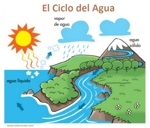 El Ciclo del Agua Para niños. Ciclo Escolar El Ciclo del Agua Para niños. Ciclo Escolar