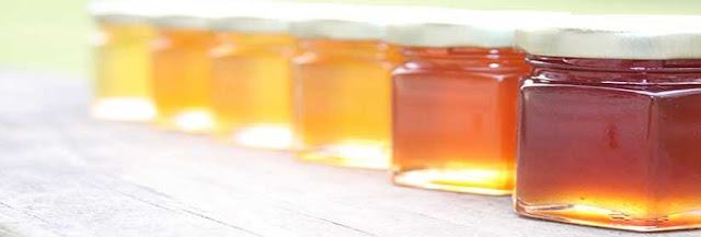 Γευσιγνωσία μελιού Honey tasting