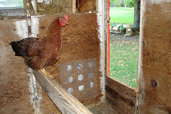 coop trailer coops chickens cool roost roosting area floor purposed re dropping middle fall general