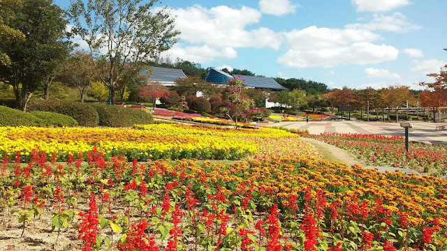 Велопоход вдоль Восточного (Японского) моря Южной Кореи Велопоход вдоль Восточного (Японского) моря Южной Кореи