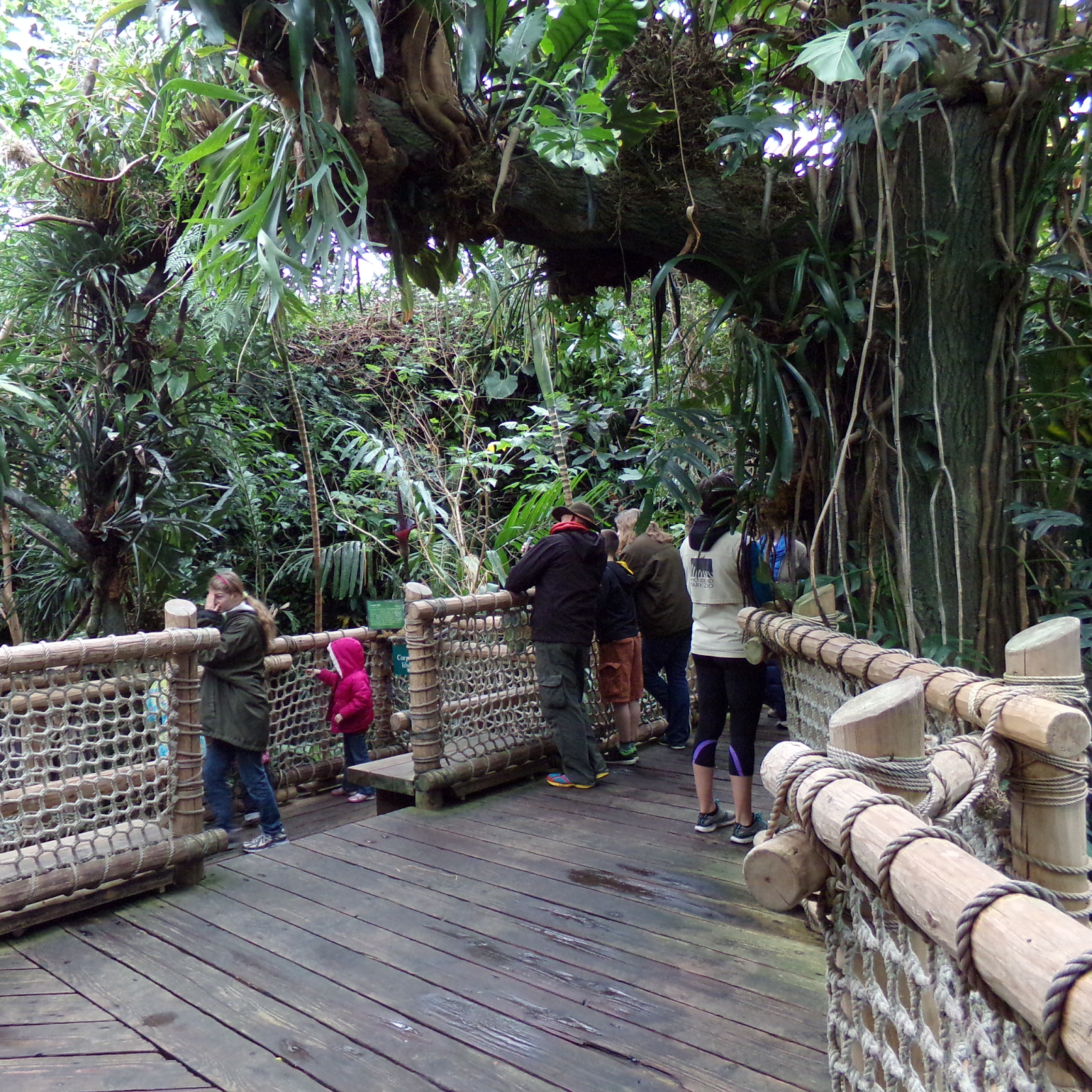 randuwa Spring Break Redux The Woodland Park Zoo, part 2 of 9