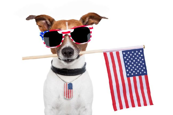 4th-of-july-animals-1-2-1-6-8-0-5-4-1.png