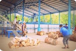 Warga Kamoro Diminta Syukuri Pembangunan Pabrik Sagu Rakyat