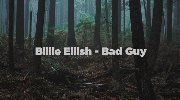 4 76 Mb Download Lagu Billie Eilish Bad Guy Mp3 Djimusik