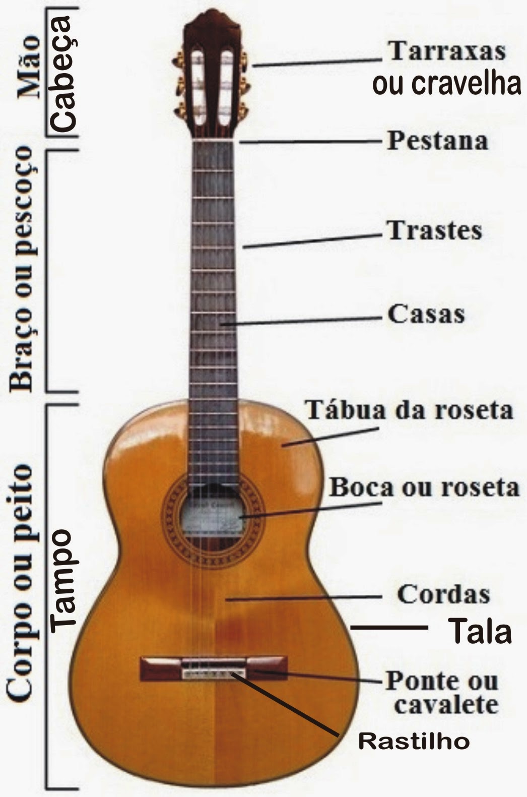Partes De Um Violão EDUCA Partes De Um Violão EDUCA