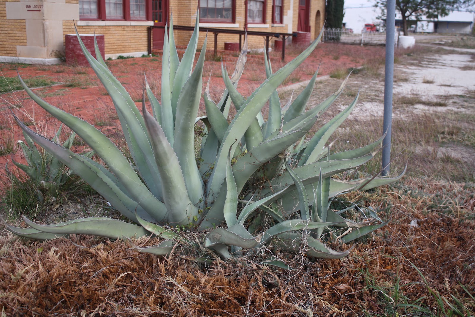 Exploring the World Around Me Cedar Gap and Abilene