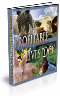 "How To Start Your Very Own Livestock And Poultry Farm For Pleasure Or Profits Even If You're A