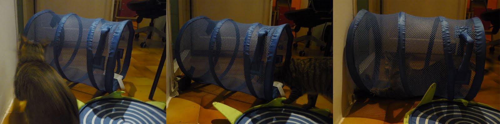 Luna Meu Meu: abril 2011