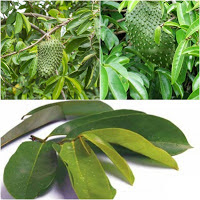 Infeksi Saluran Kemih pd Wanita, ini Penyebab & Bahayanya Infeksi Saluran Kemih pd Wanita, ini Penyebab & Bahayanya