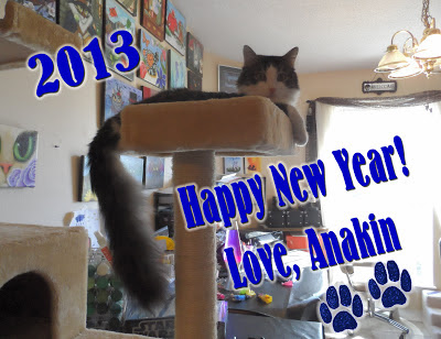 Happy New Year! Love Anakin The Two Legged Cat