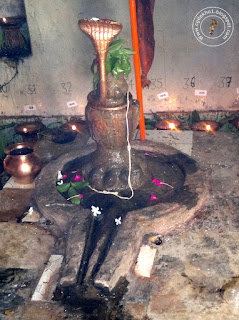 turturiya-shivling 