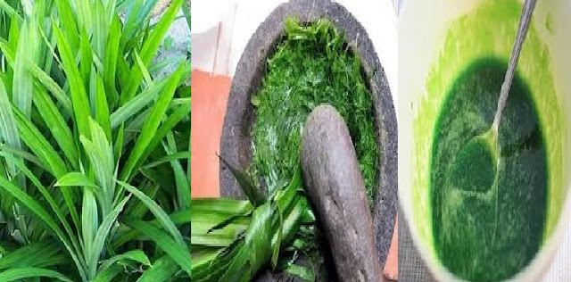 Dalam 2 Menit;Rematik,Pegal Linu,darah tinggi,Rambut Rontok Hingga