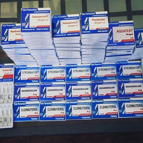 Rexogin stanozolol injection 50mg ml