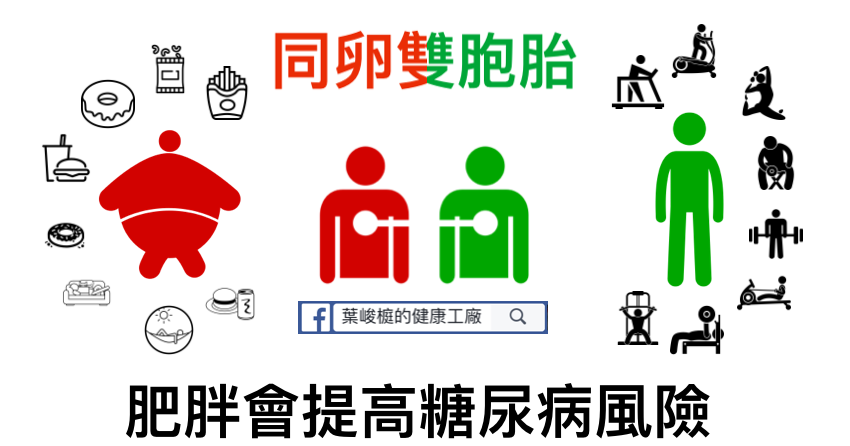 早食いは心血管疾患のリスクを軽減すると研究結果が発表