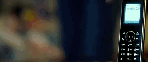 16.gif