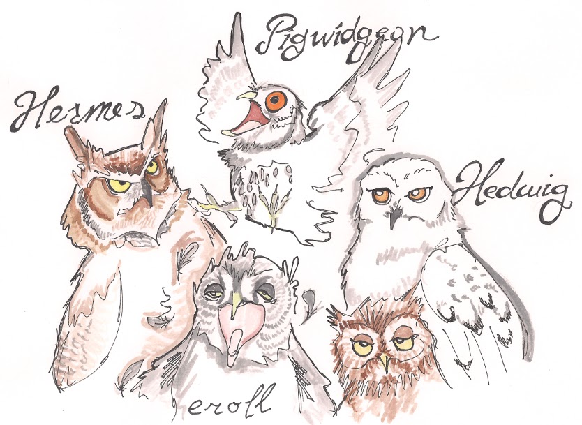 Seize the Absurd Pottermania owls