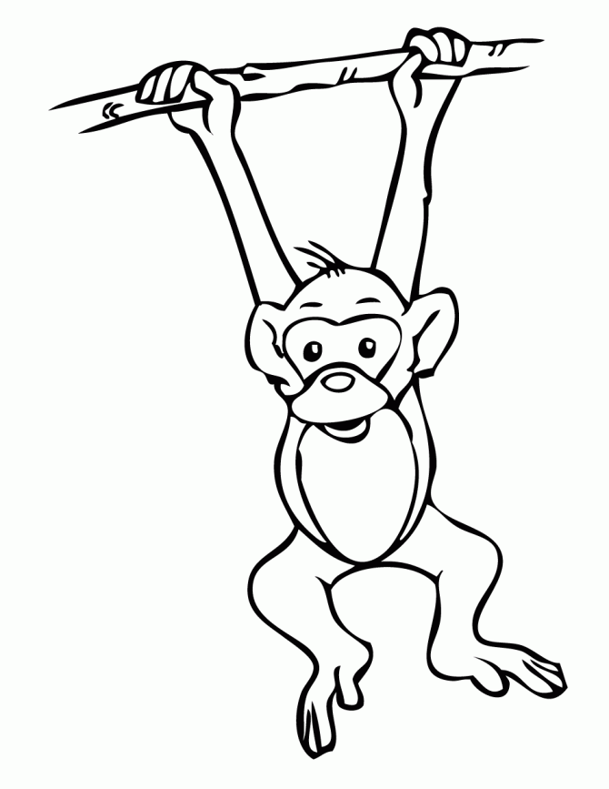 baboon coloring pages - photo #49
