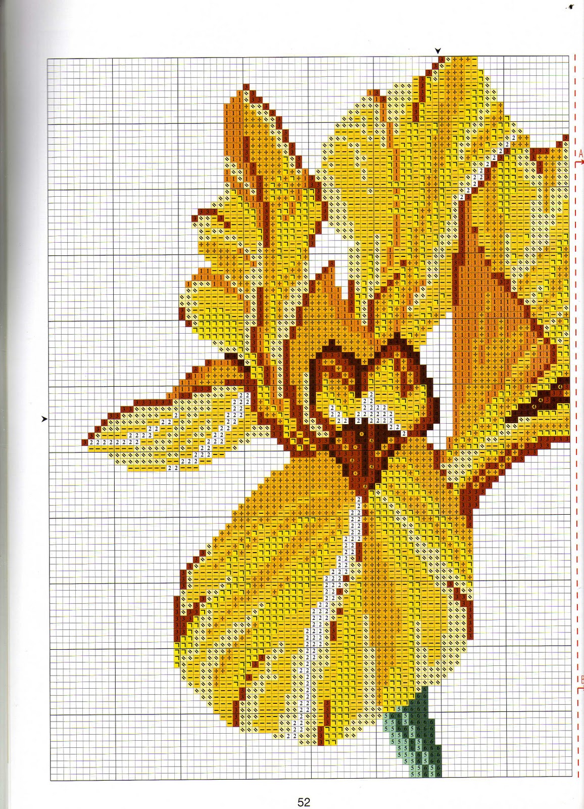 Orquídeas Em Ponto Cruz Belíssimas Orquídeas em Ponto Cruz