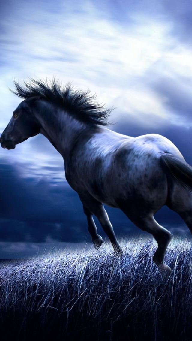 HD Dark Horse Wallpapers for iPhone 5