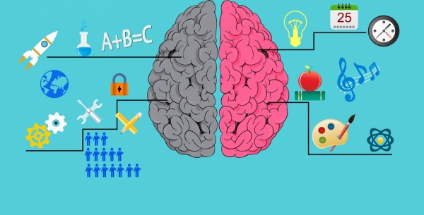 Working brain infographic multicolored flat icons decor Free vector