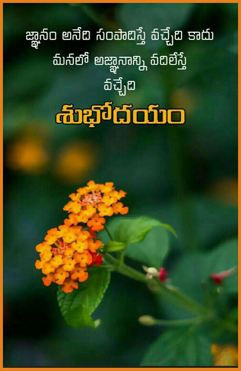 good morning images in telugu