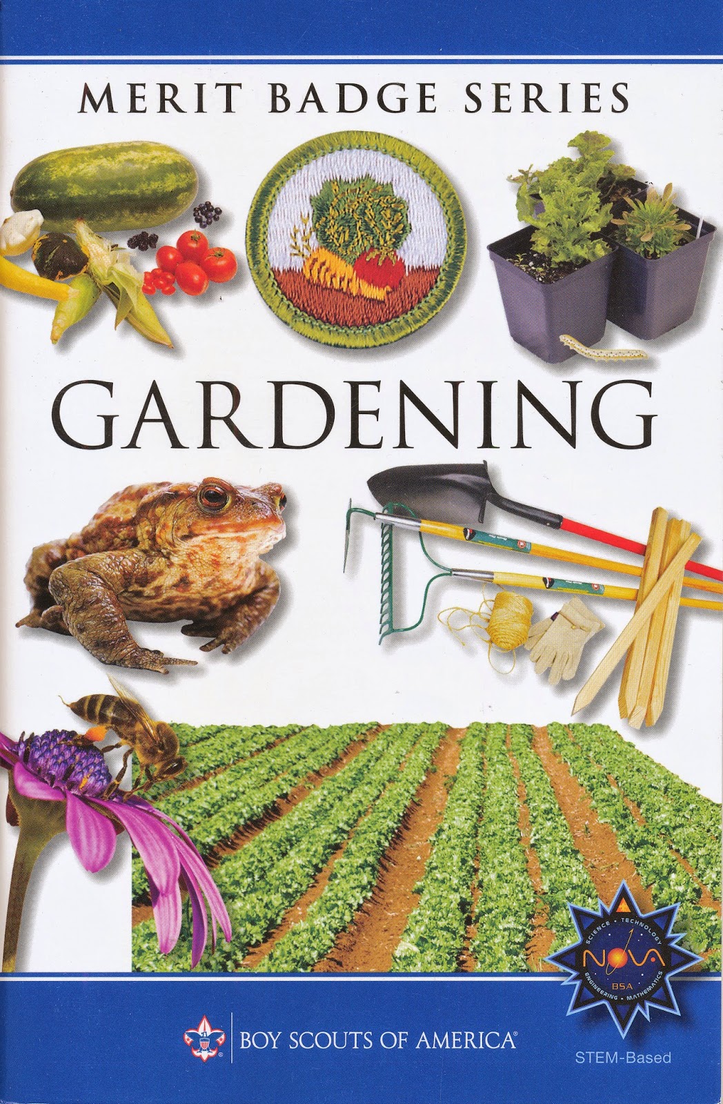 Scouter Life: Gardening Merit Badge Nutritional Values