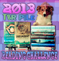 2013 TBR Pile Challenge