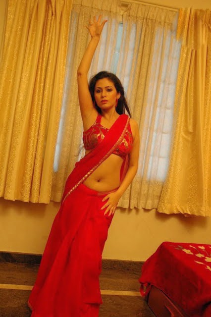 Sada Hot Stills In Red Saree Indian Stuff 