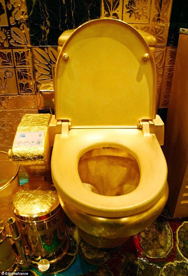 It is a golden opportunity to have a toilet