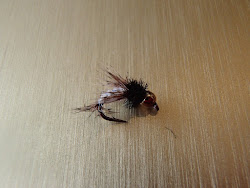 caddis fly patterns hatch fishing things bead